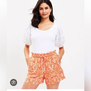 NWOT Loft Women's Orange Paisley Patterned Shorts